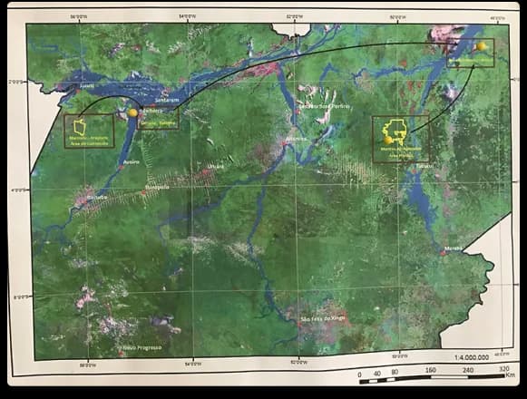 Map of Brazil logging concessions and protected areas