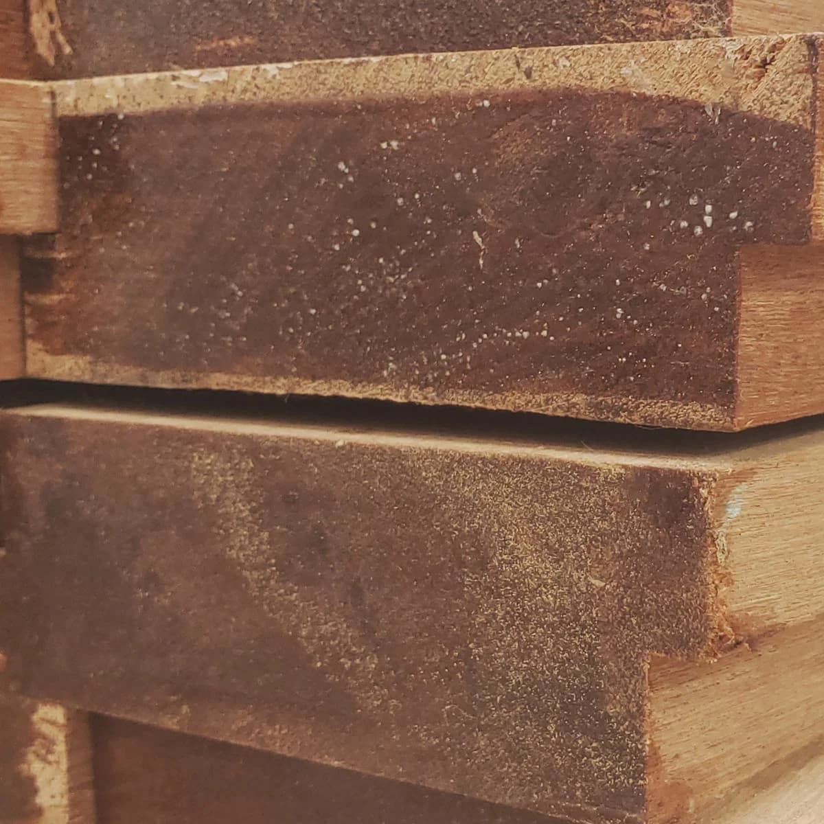 Apitong, Keruing 1-3/4" x 5-3/8" (5" face) Std + Btr Shiplap Flooring AD