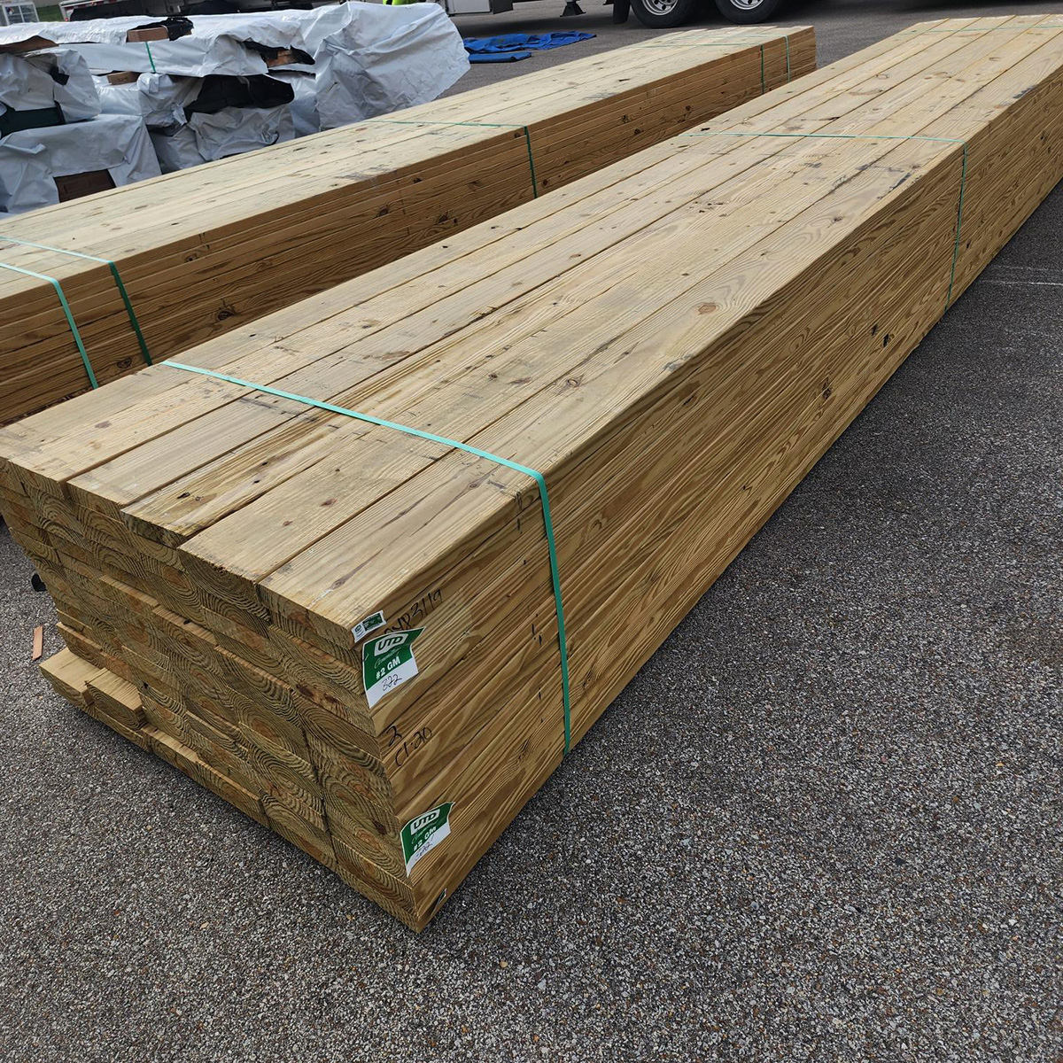 Photo of Southern Yellow Pine