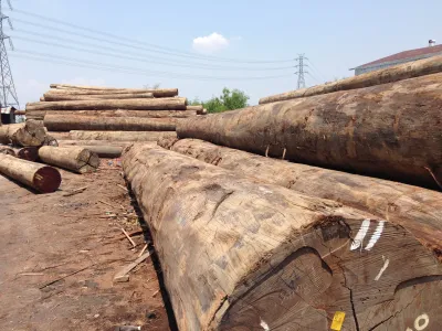 Log Yard Indonesia Keruing