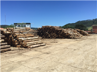 apitong trailer decking log-yard-indonesia-keruing-2.JPG