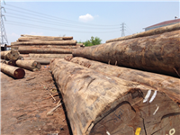 apitong trailer decking log-yard-indonesia-keruing.JPG